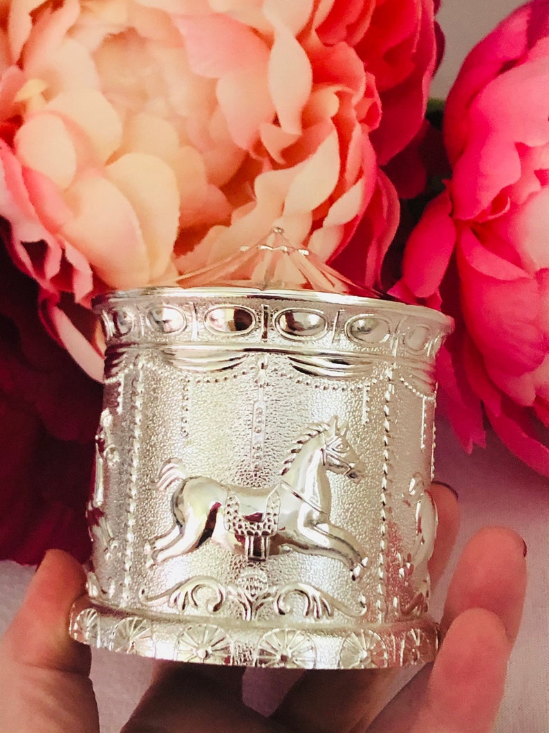 Silver Money Box Carousel