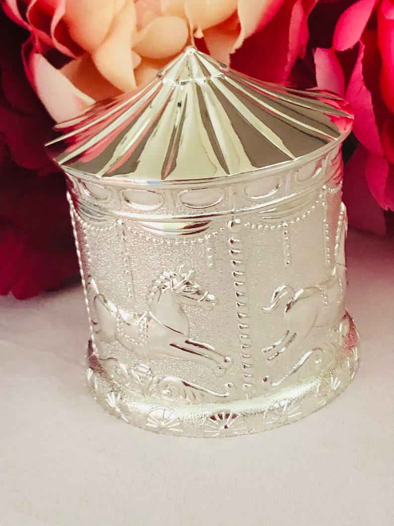 Silver Money Box Carousel